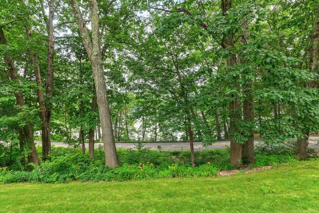 200 West Sutton Road Sutton, MA 01590 - Photo 3 of 33 a green field with lots of trees