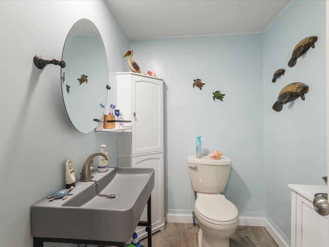 13005 Mitchell Street Shirland, IL 61079 - Photo 23 of 37 a bathroom with a sink toilet and mirror