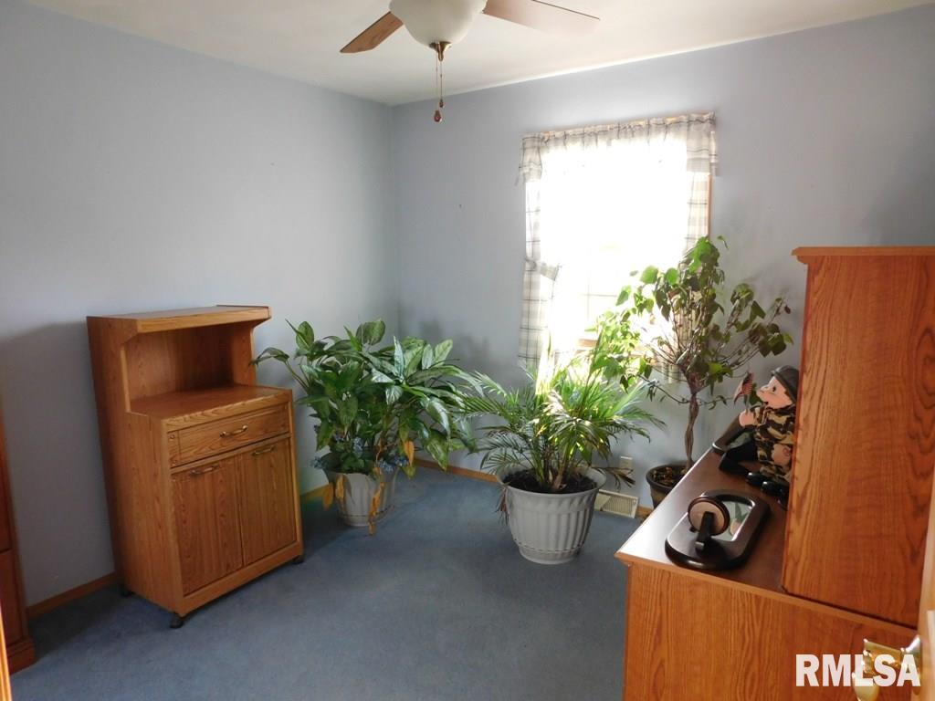 304 3rd Street Colona, IL 61241 - Photo 10 of 20 Gallery Image 10
