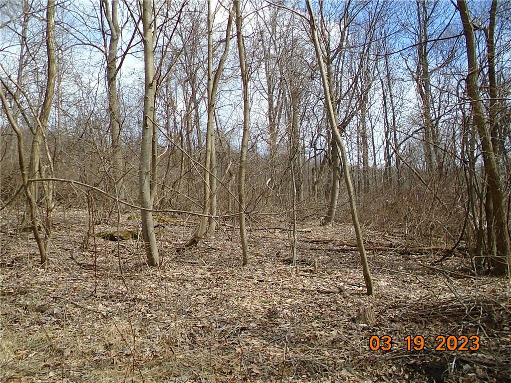 400 Bell Point Road Avonmore, PA 15618 - Photo 11 of 20 a backyard of a house with lots of green space