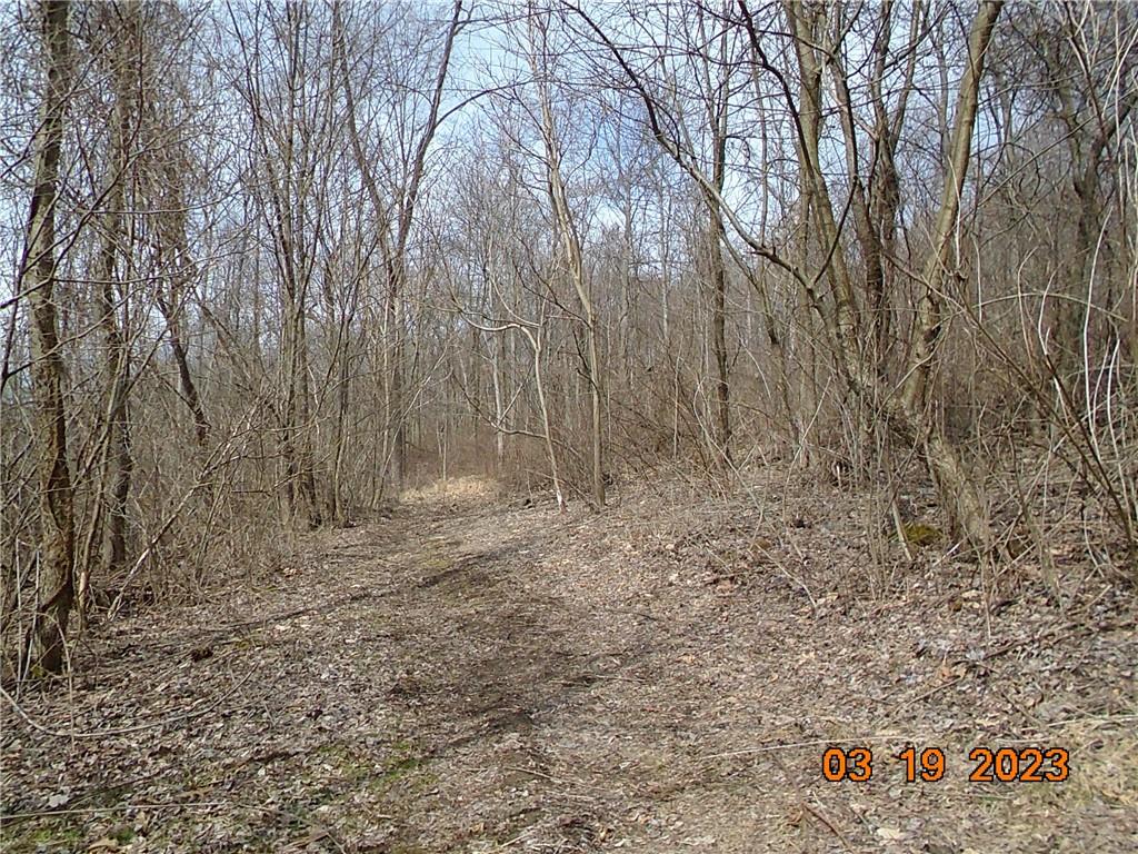400 Bell Point Road Avonmore, PA 15618 - Photo 12 of 20 a view of backyard with large tree