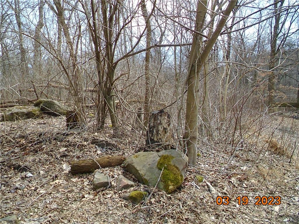 400 Bell Point Road Avonmore, PA 15618 - Photo 13 of 20 a view of a yard with large trees