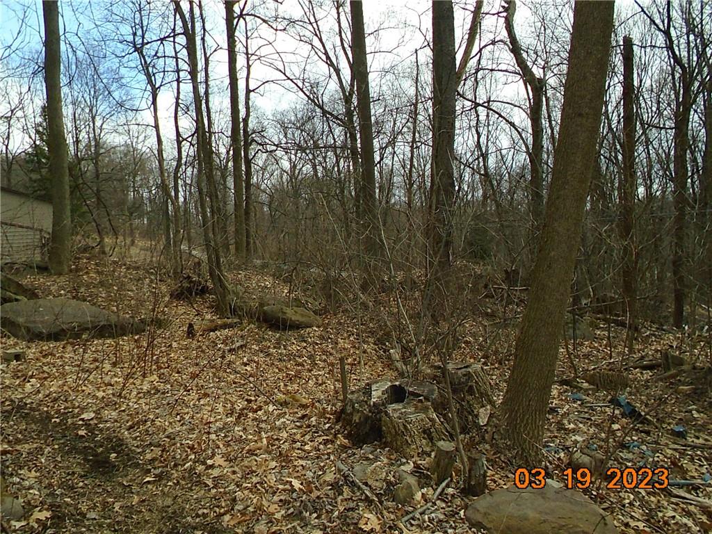 400 Bell Point Road Avonmore, PA 15618 - Photo 15 of 20 a view of a forest with large trees