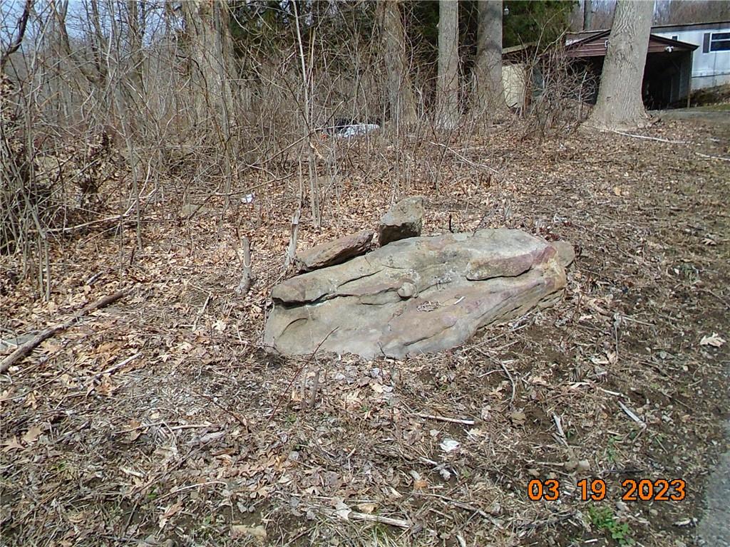 400 Bell Point Road Avonmore, PA 15618 - Photo 4 of 20 a view of a backyard with trees