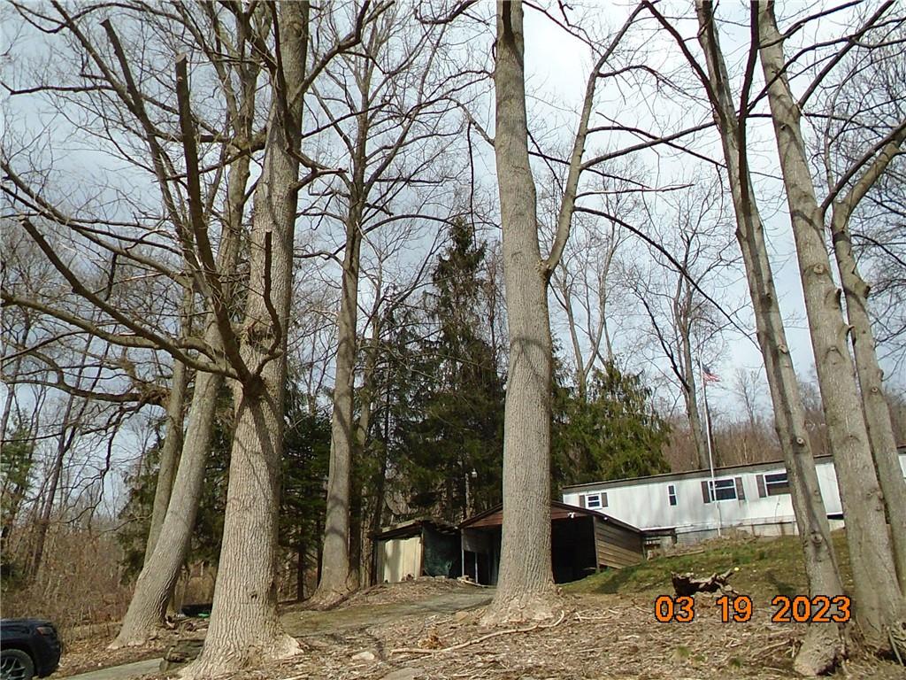 400 Bell Point Road Avonmore, PA 15618 - Photo 5 of 20 a backyard of a house with lots of green space