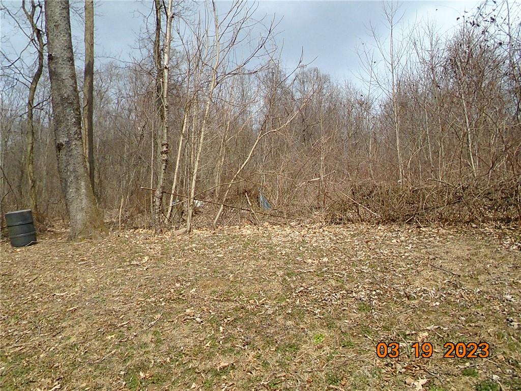 400 Bell Point Road Avonmore, PA 15618 - Photo 6 of 20