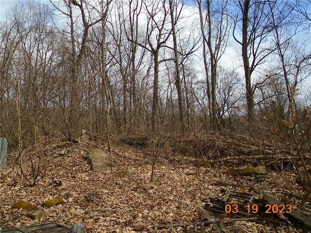 400 Bell Point Road Avonmore, PA 15618 - Photo 7 of 20 a view of outdoor space with trees