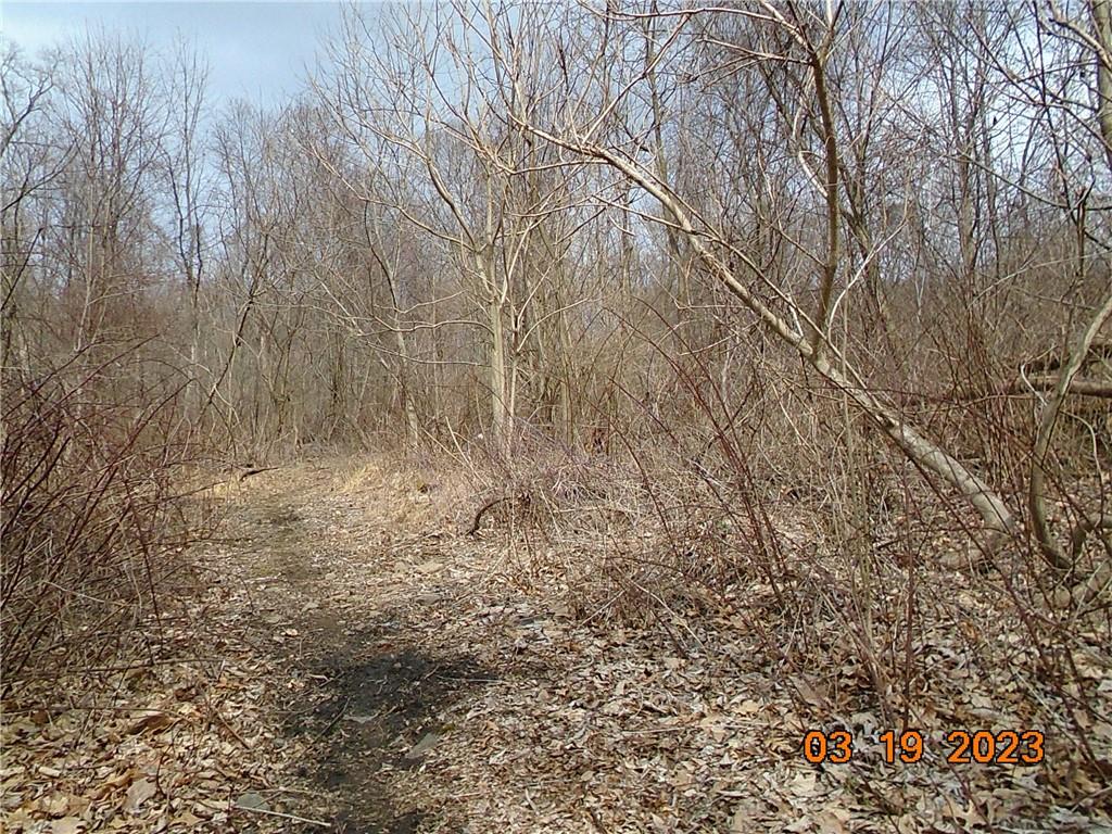 400 Bell Point Road Avonmore, PA 15618 - Photo 8 of 20 a view of backyard of building