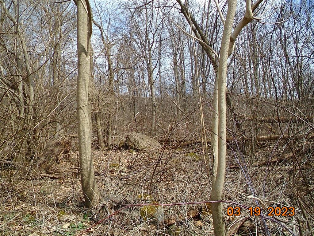 400 Bell Point Road Avonmore, PA 15618 - Photo 9 of 20