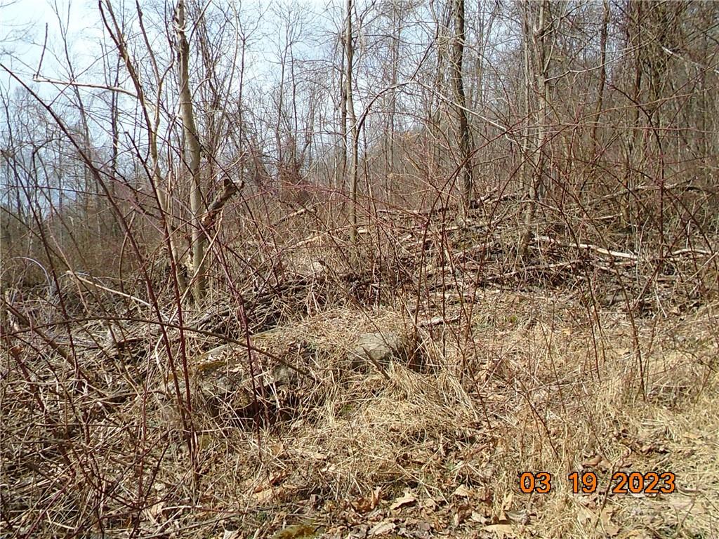 400 Bell Point Road Avonmore, PA 15618 - Photo 10 of 20 a view of a yard