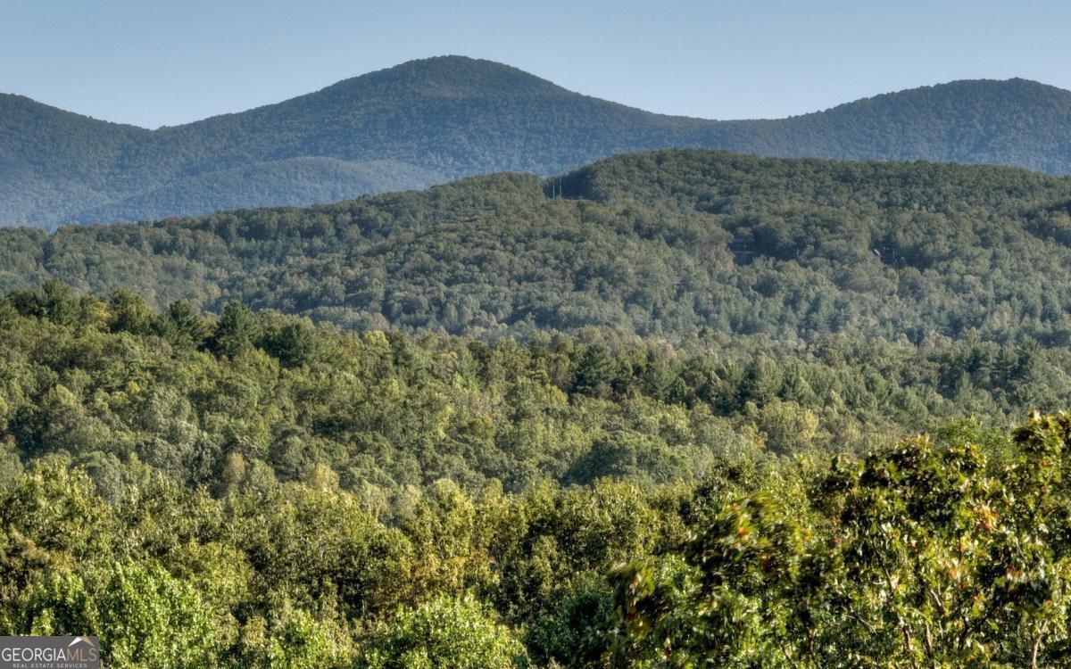 375 Blue Berry Ridge, Unit 2B Morganton, GA 30560 - Photo 30 of 61 a view of a lush green hillside and a building
