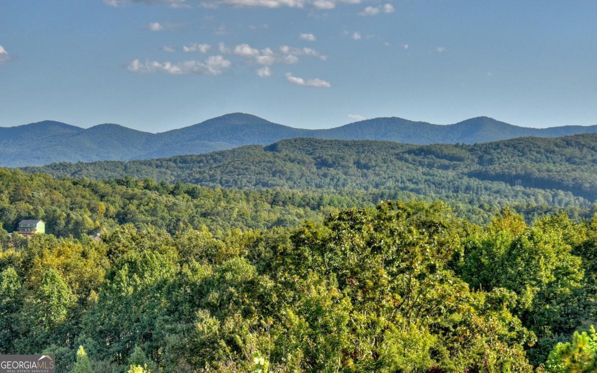 375 Blue Berry Ridge, Unit 2B Morganton, GA 30560 - Photo 3 of 61 a view of a lush green forest with a mountain in the background