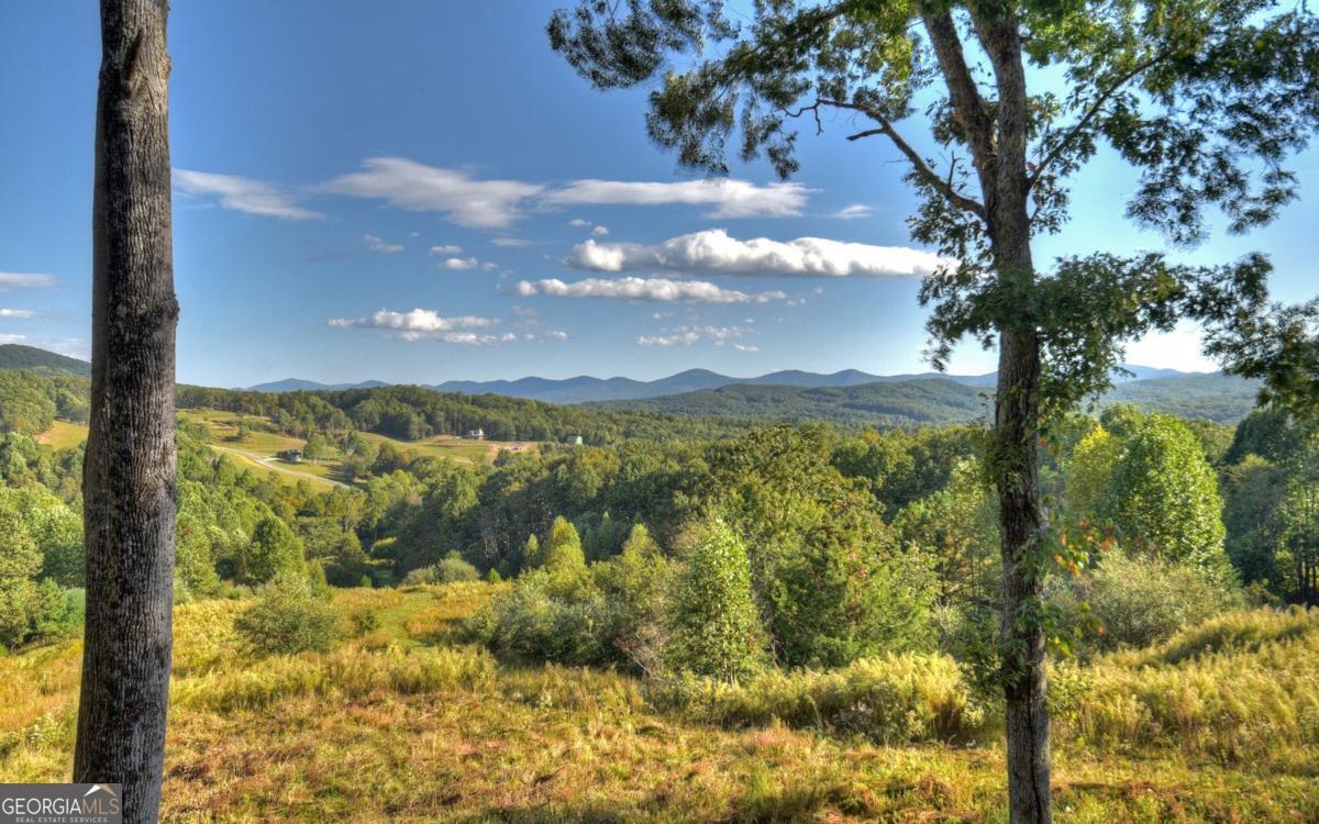 375 Blue Berry Ridge, Unit 2B Morganton, GA 30560 - Photo 38 of 61 a view of lake from a city