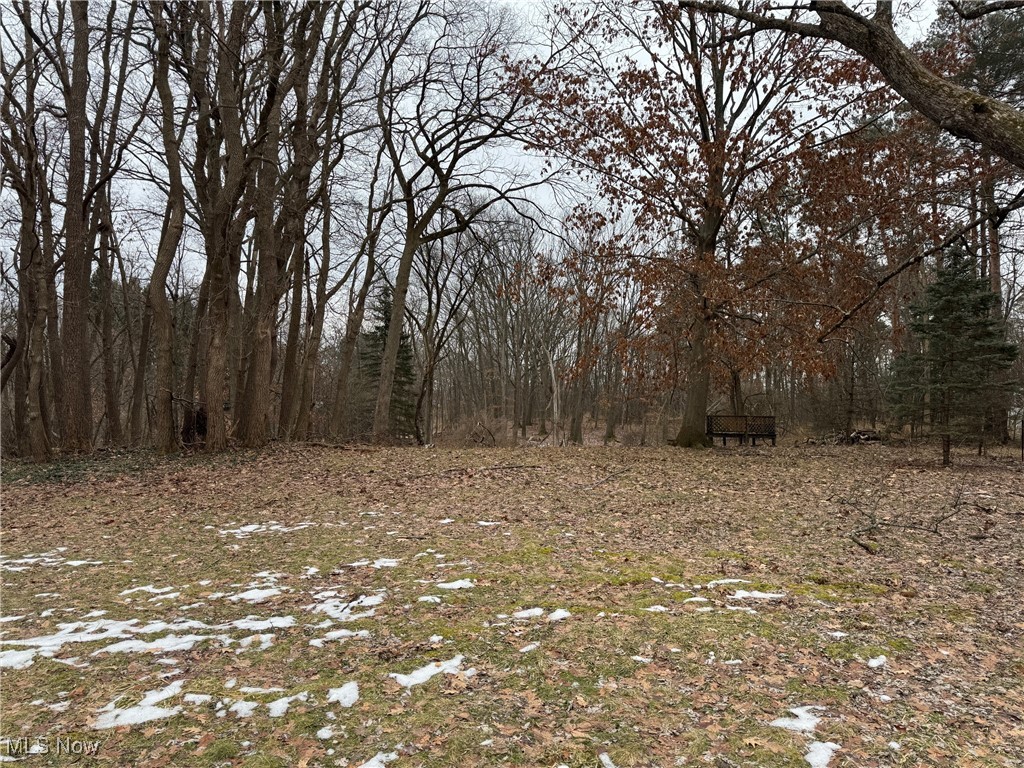 16561 Shurmer Road Strongsville, OH 44136 - Photo 39 of 40 Beautiful wooded lot