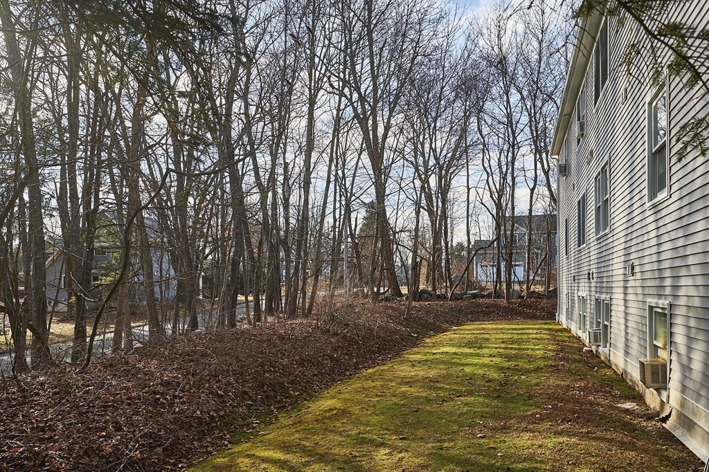 44 Evergreen Road, Unit 301 Leeds, MA 01053 - Photo 21 of 22 a view of yard with trees