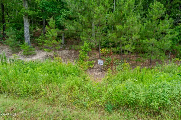 $29,900 | 726 Twin Lks Drive, Loudon, TN 37774