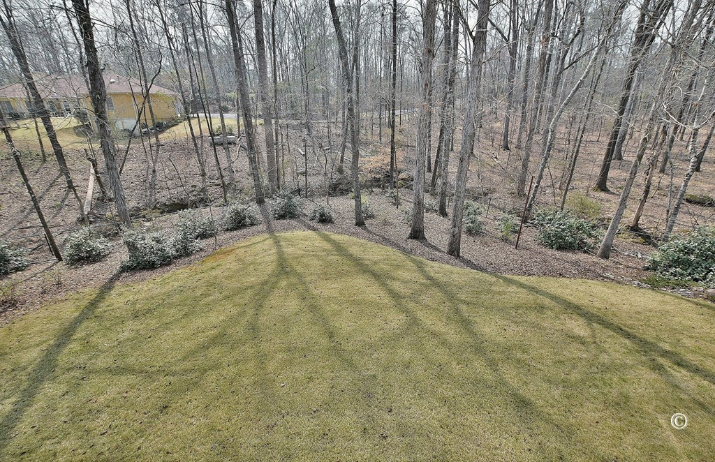 4736 Timarron Loop Columbus, GA 31909 - Photo 40 of 47 Backyard