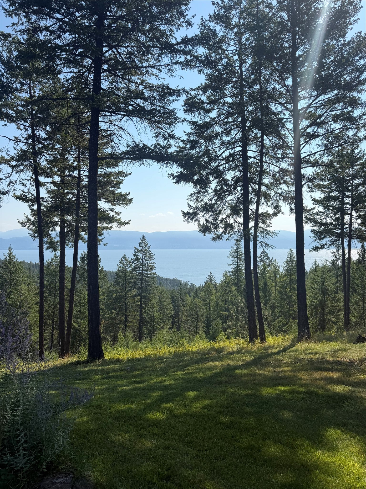 18090 Demmersville Road Lakeside, MT 59922 - Photo 111 of 113 Gallery Image 111