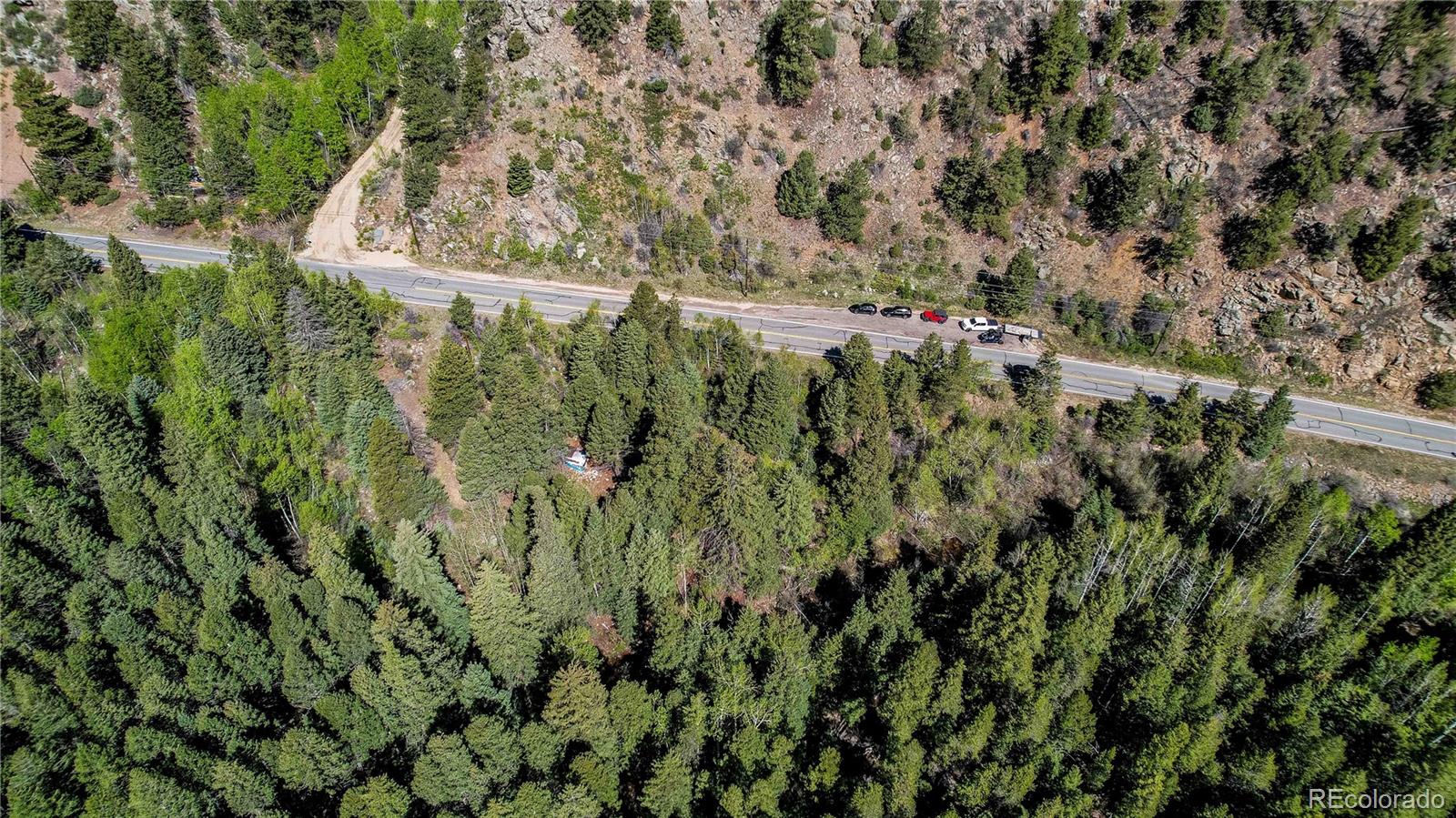 103 Cascade Creek Road Idaho Springs, CO 80452 - Photo 21 of 40 a view of a yard with plants and large trees