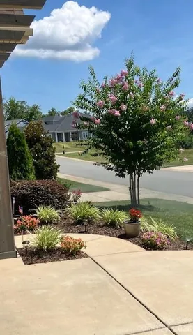 a view of a garden with a pathway