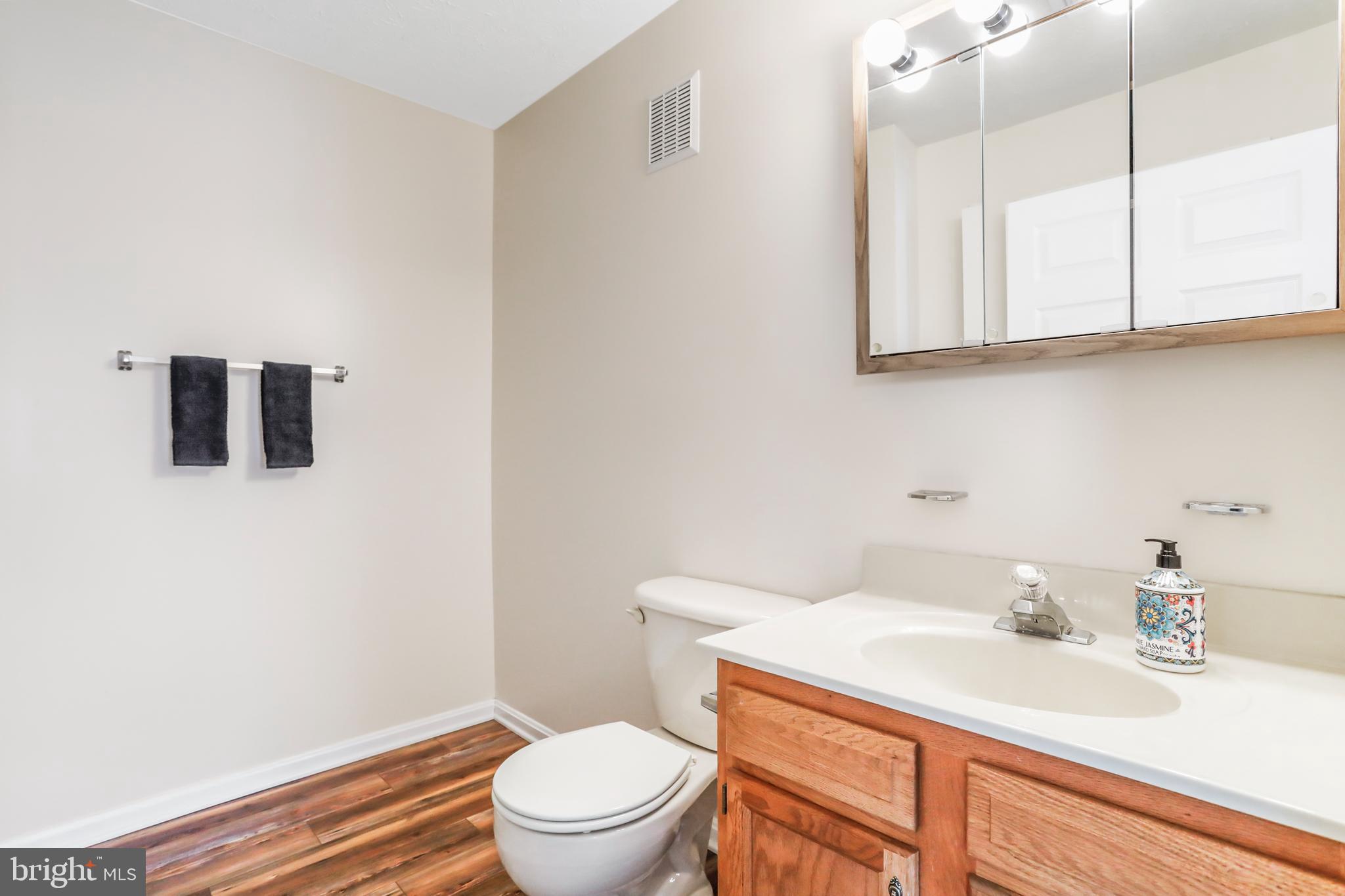 145 Hailey Lane, Unit F11 Strasburg, VA 22657 - Photo 25 of 39 a bathroom with a sink a toilet and vanity