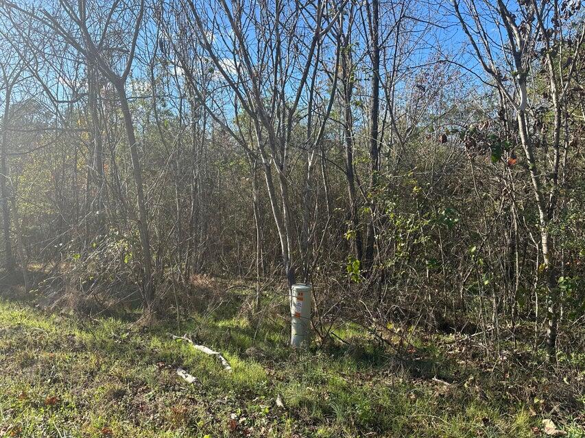 20241112014339899021000000-o