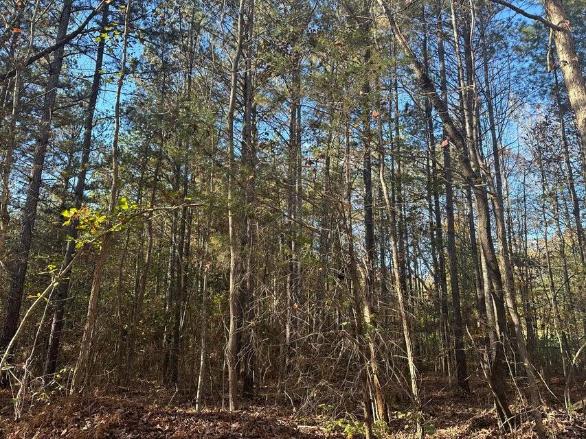 0 Mt Carmel Road Decatur, TN 37322 - Photo 2 of 8 20241112014320607395000000-o