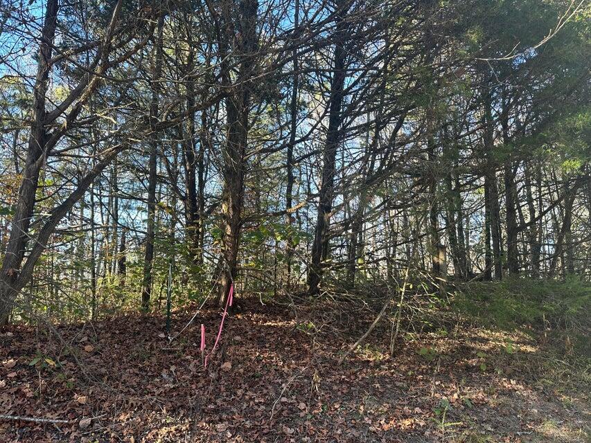 0 Mt Carmel Road Decatur, TN 37322 - Photo 4 of 8 20241112014326205084000000-o