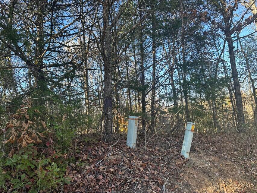 0 Mt Carmel Road Decatur, TN 37322 - Photo 6 of 8 20241112014331593110000000-o