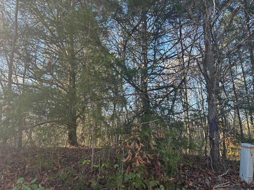 0 Mt Carmel Road Decatur, TN 37322 - Photo 7 of 8 20241112014334313258000000-o