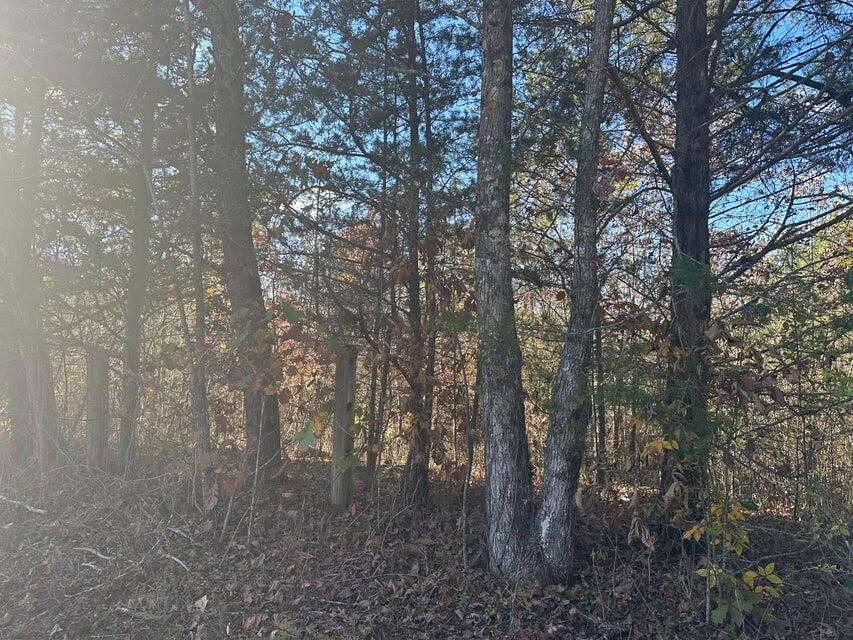 0 Mt Carmel Road Decatur, TN 37322 - Photo 8 of 8 20241112014336911702000000-o