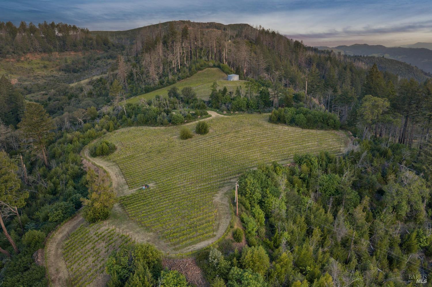 3801 Mt Veeder Road Napa, CA 94558 - Photo 8 of 22