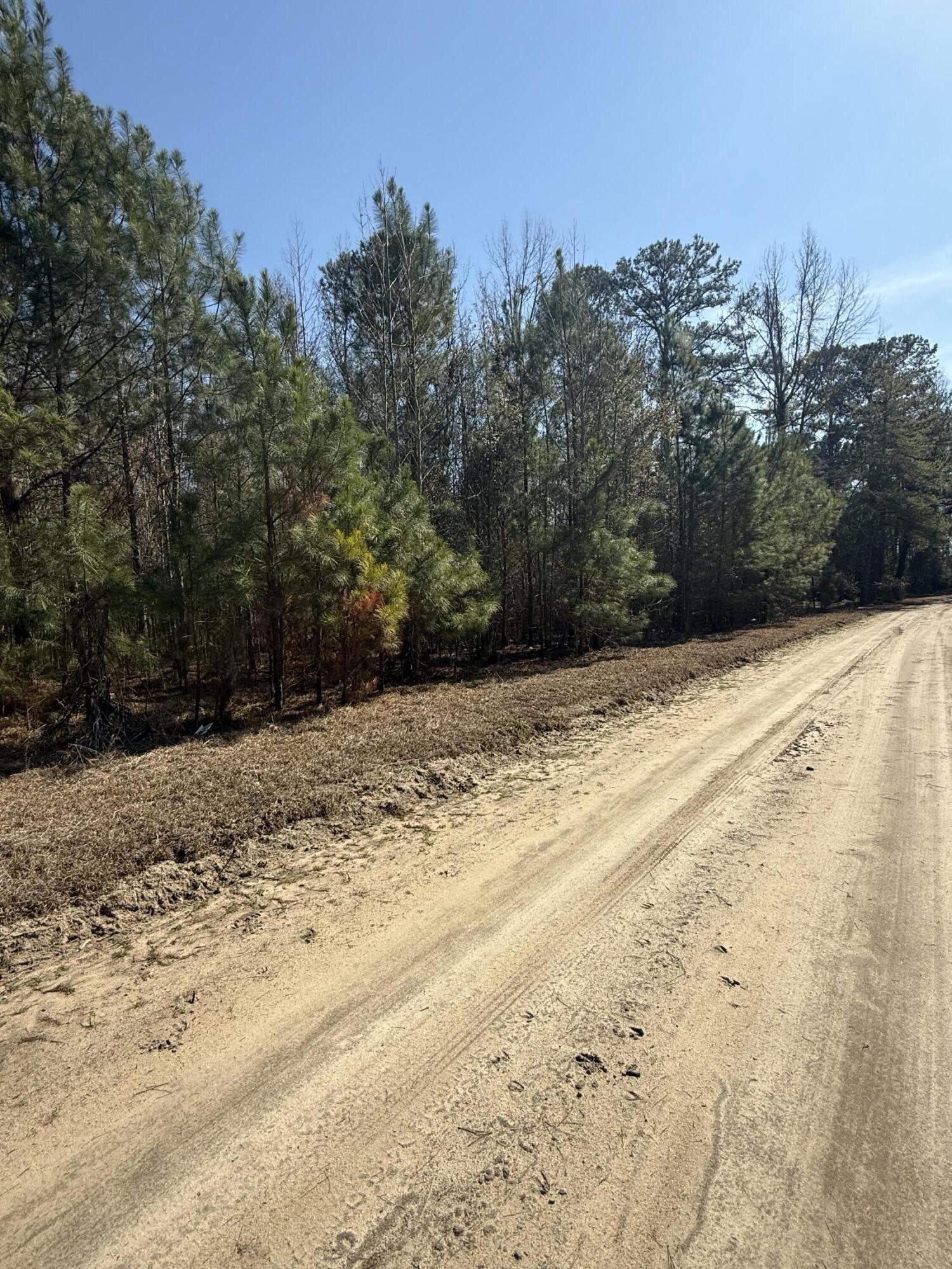 0 Topeka Lane Vance, SC 29163 - Photo 2 of 2 IMG_7014