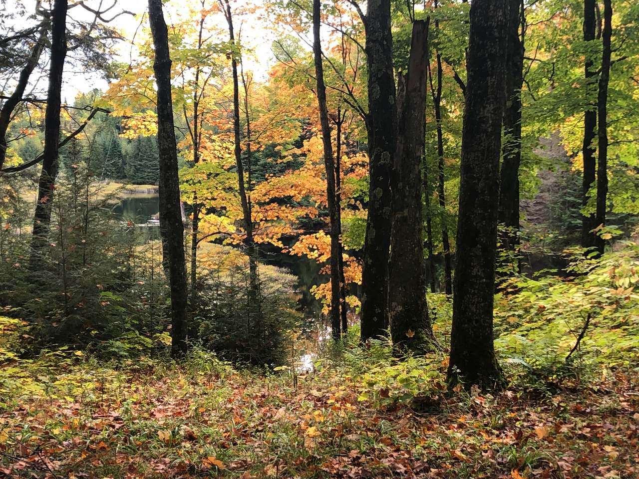 Off Off Chaney Cove Road, Unit 5 9 AC Wakefield, MI 49968 - Photo 12 of 38 Gallery Image 12