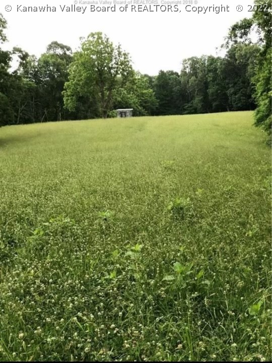 1993 Peniel Road Gay, WV 25244 - Photo 17 of 23 Gallery Image 17