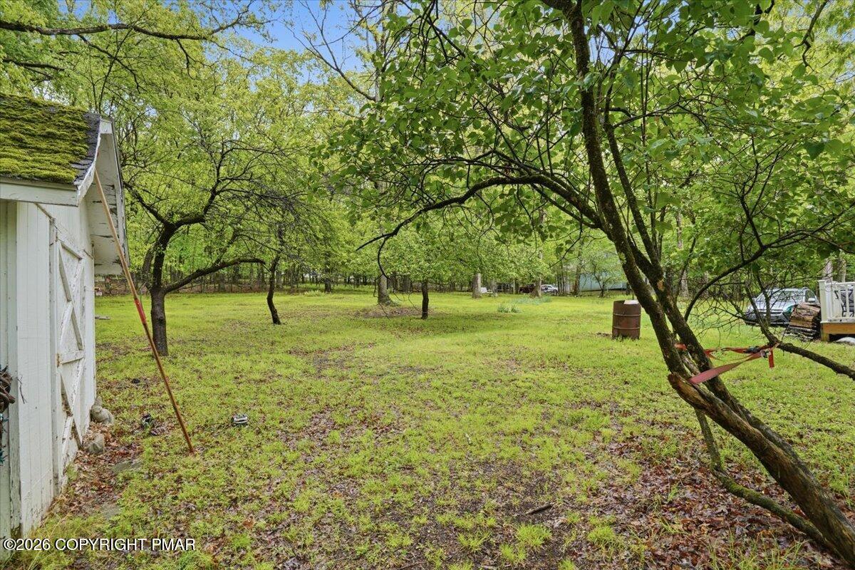232 Garrity Road Hawley, PA 18428 - Photo 55 of 57 a view of yard with tree