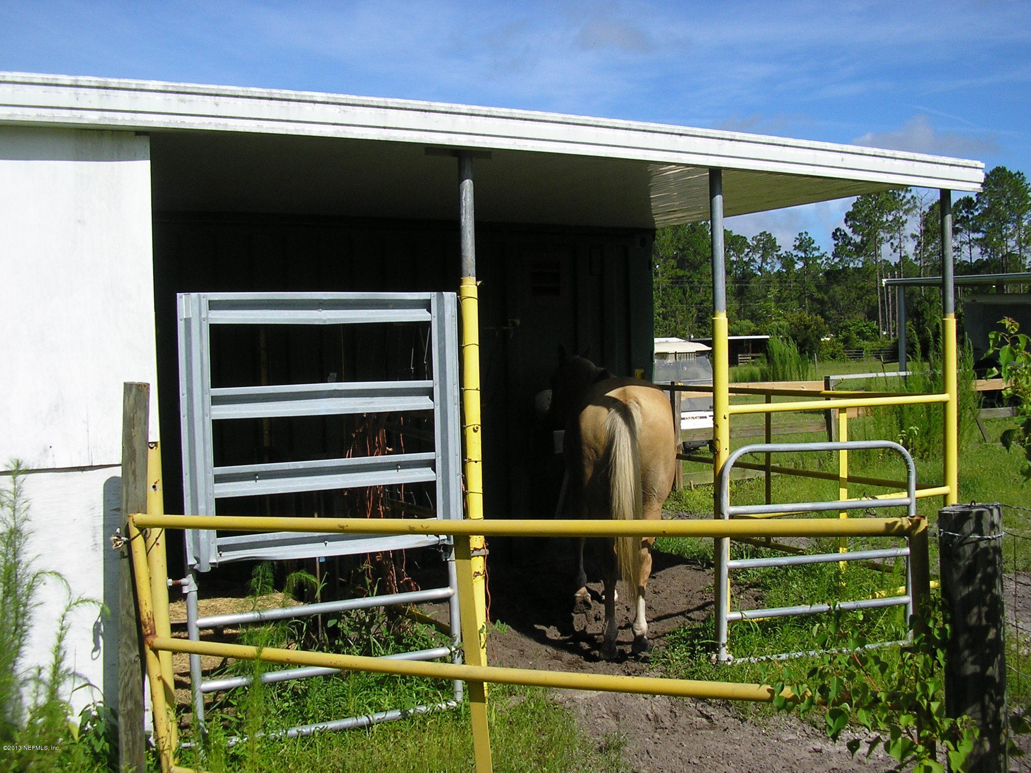 0 Carlin Road San Mateo, FL 32187 - Photo 2 of 12 STALLS