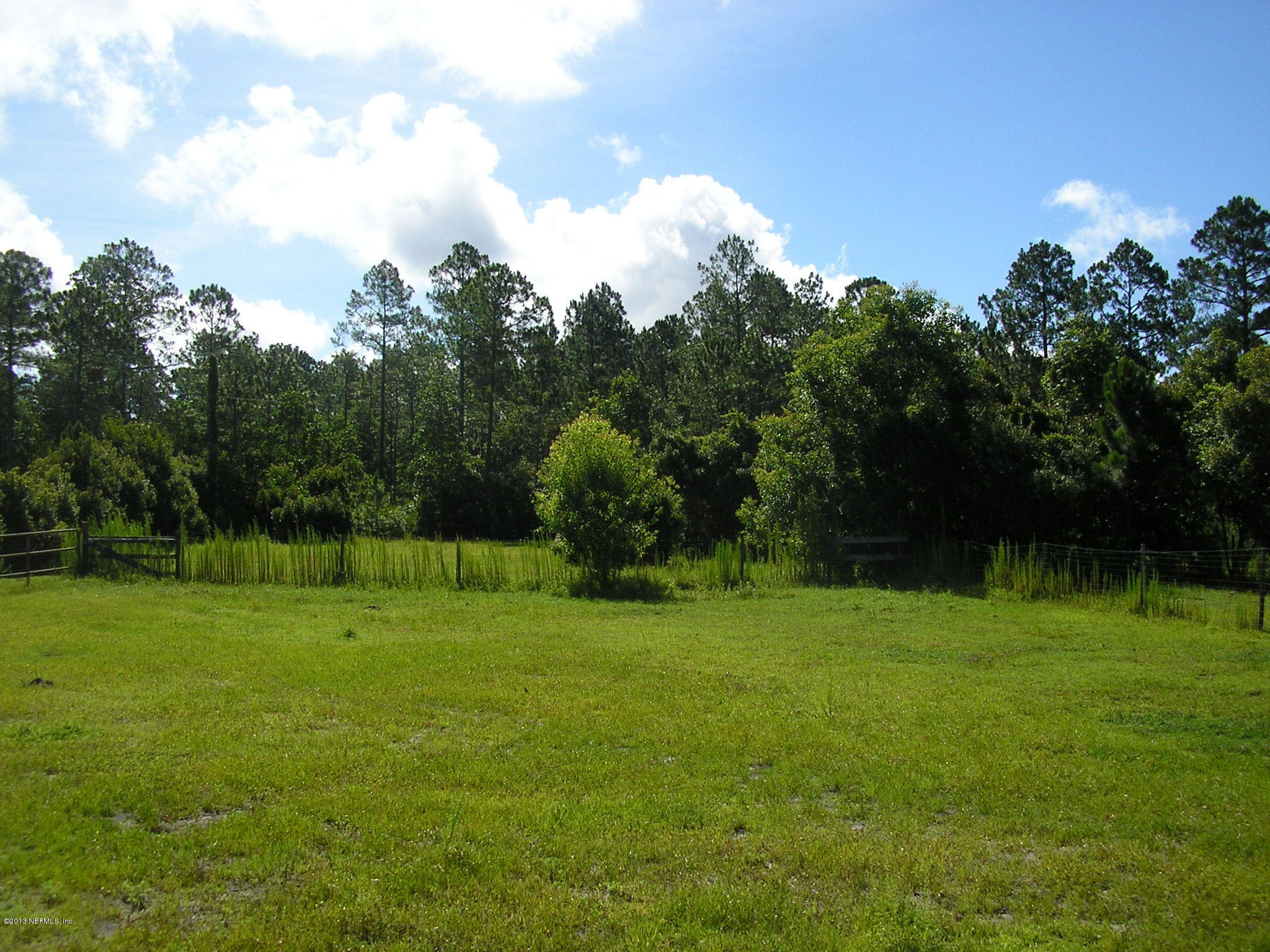 0 Carlin Road San Mateo, FL 32187 - Photo 4 of 12 REAR PASTURE