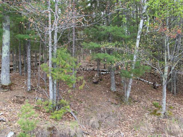 Near1220 Shields Road St. Germain, WI 54558 - Photo 5 of 9 Gallery Image 5