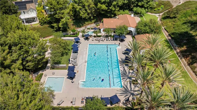 a view of a palm trees