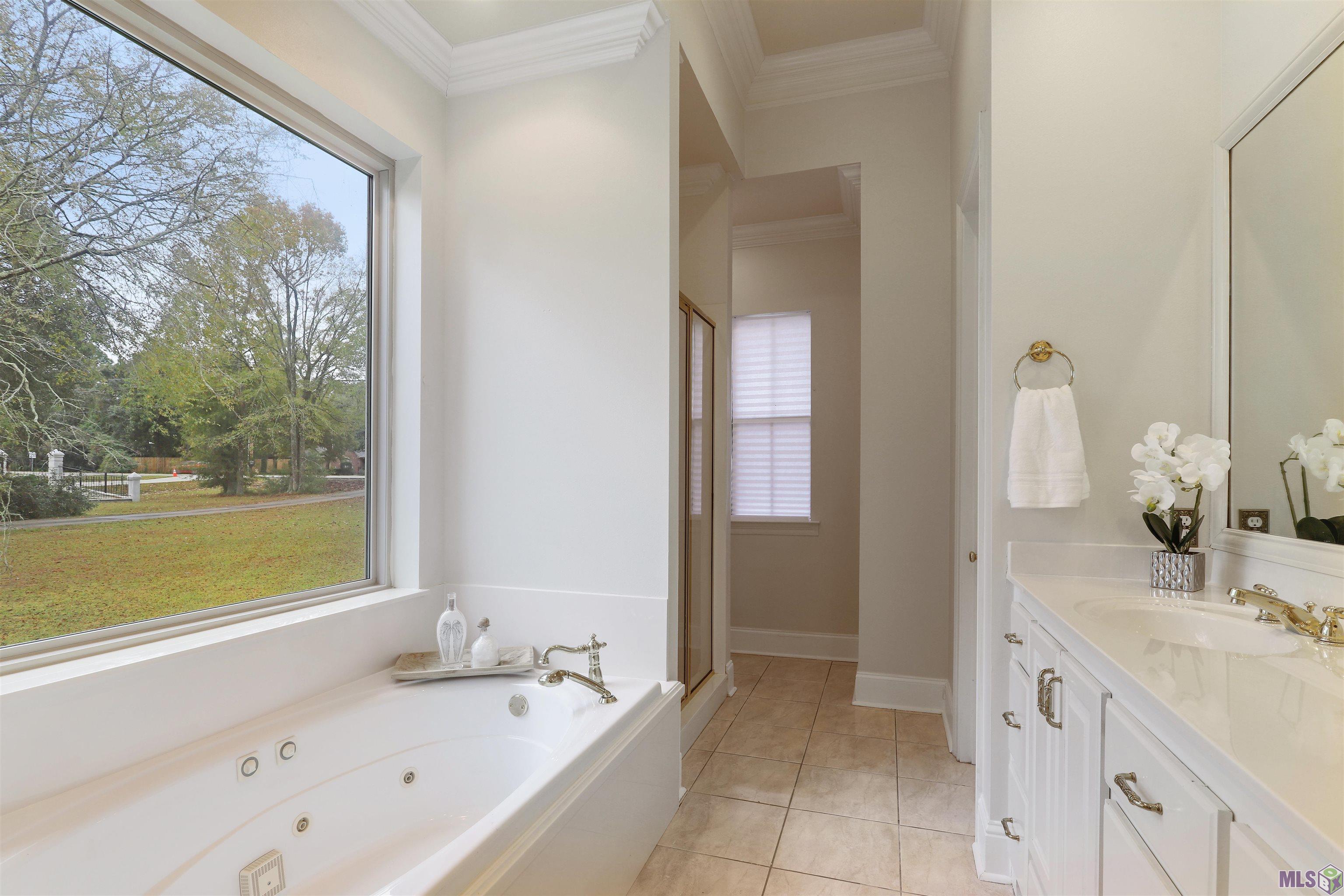 18654 Perkins Road East Prairieville, LA 70769 - Photo 14 of 25 Gallery Image 14