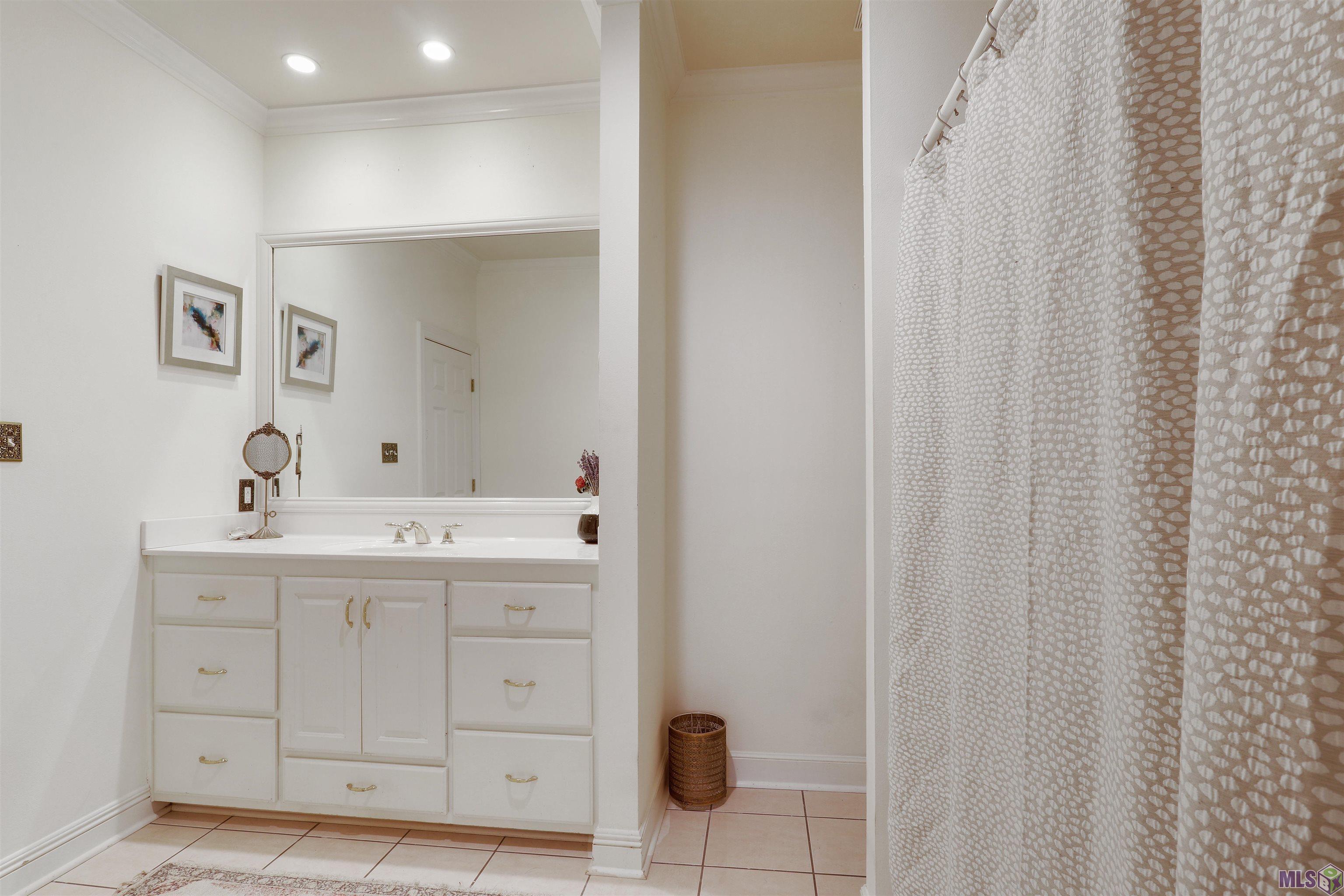 18654 Perkins Road East Prairieville, LA 70769 - Photo 19 of 25 Gallery Image 19