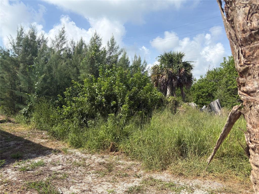 8990 Seagrape Lane Boca Grande, FL 33921 - Photo 1 of 12
