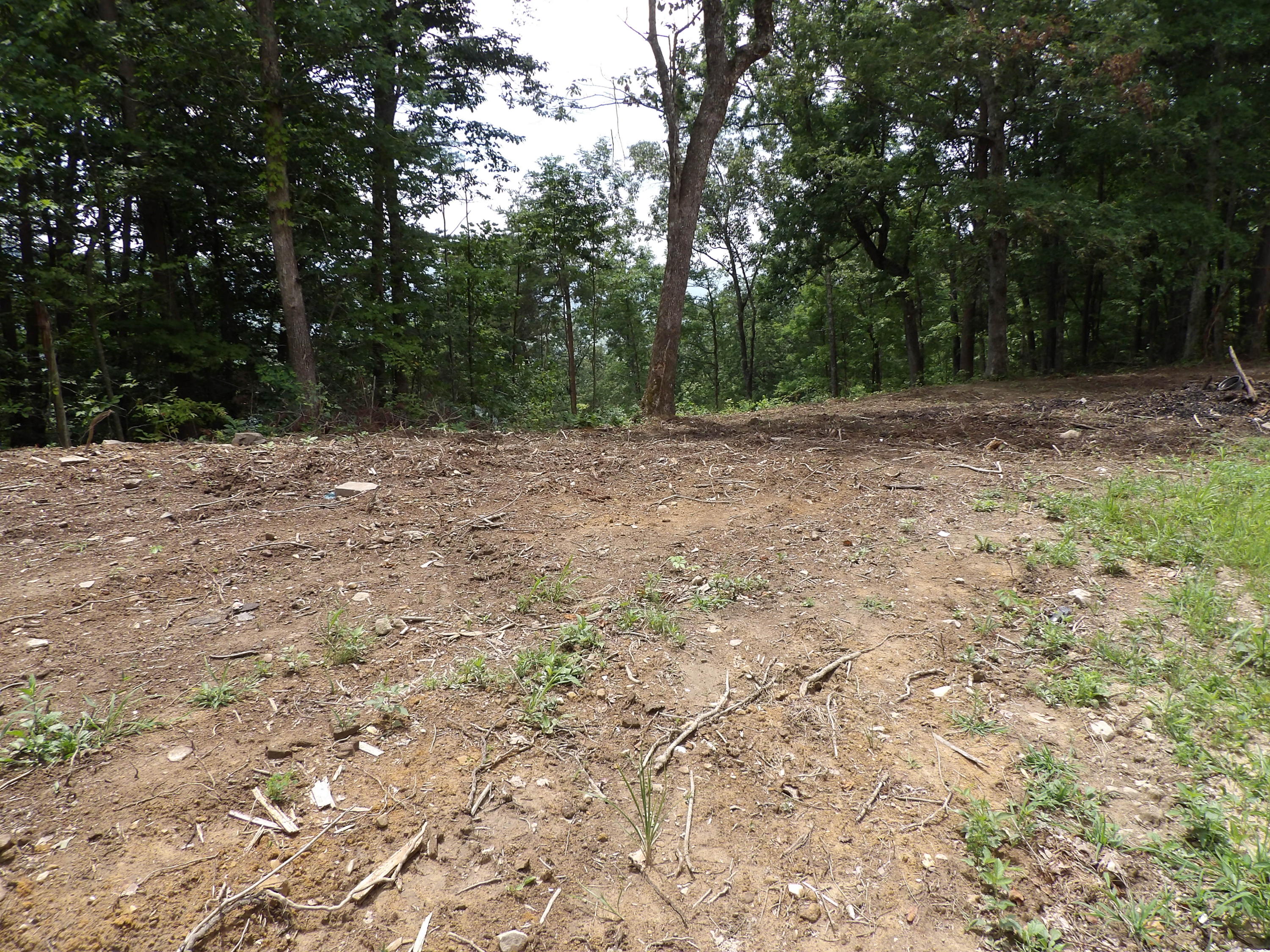 552 Overview Road Crossville, TN 38572 - Photo 11 of 17 100_1225