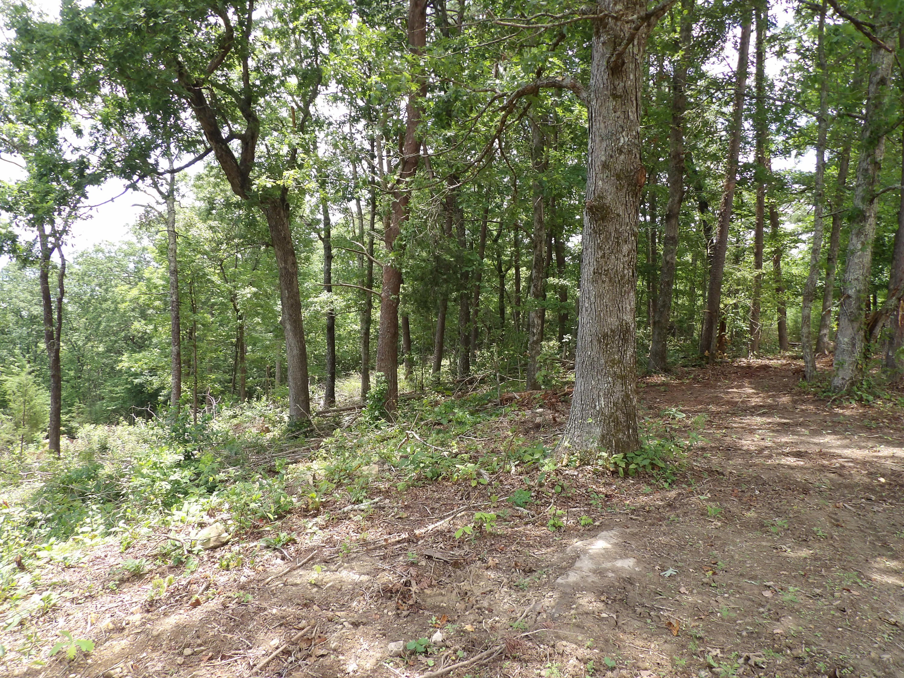 552 Overview Road Crossville, TN 38572 - Photo 12 of 17 100_1227