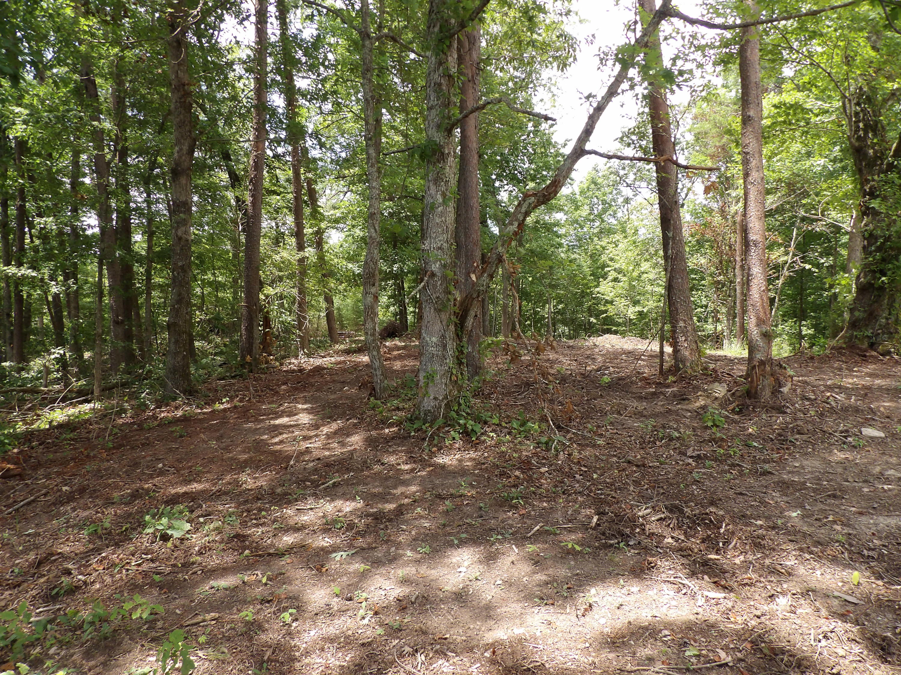 552 Overview Road Crossville, TN 38572 - Photo 14 of 17 100_1230
