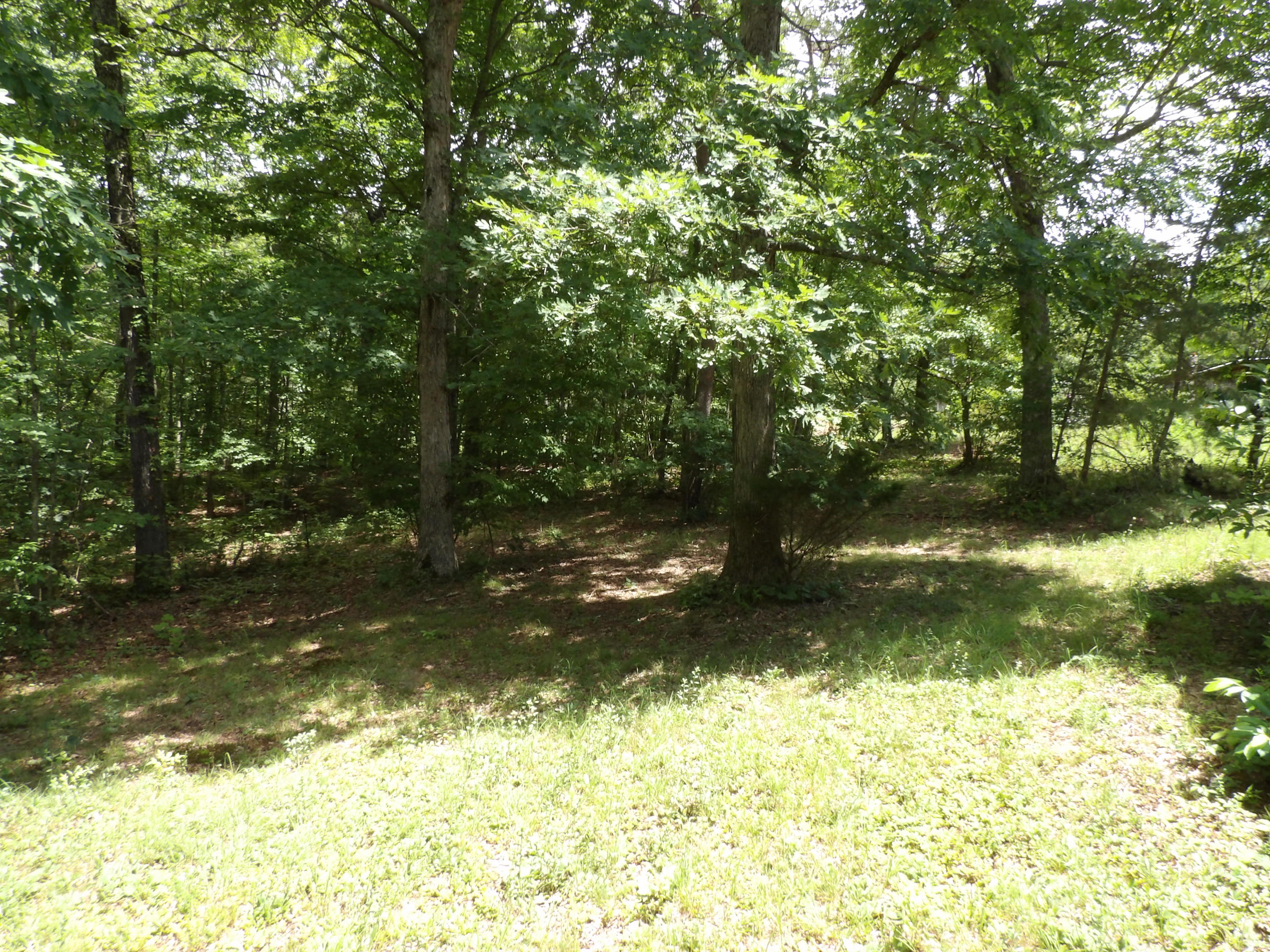 552 Overview Road Crossville, TN 38572 - Photo 17 of 17 100_1234