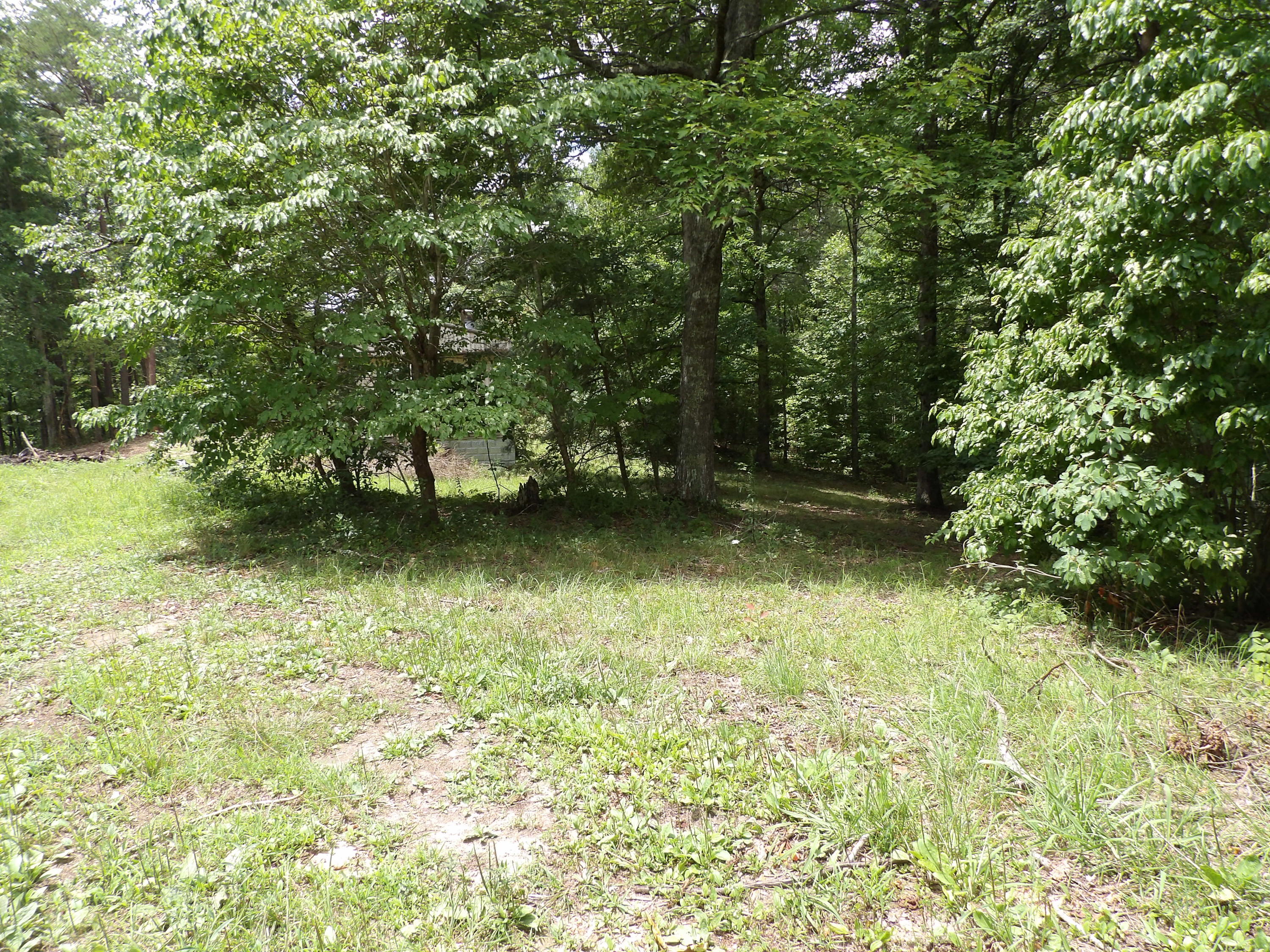 552 Overview Road Crossville, TN 38572 - Photo 7 of 17 100_1222