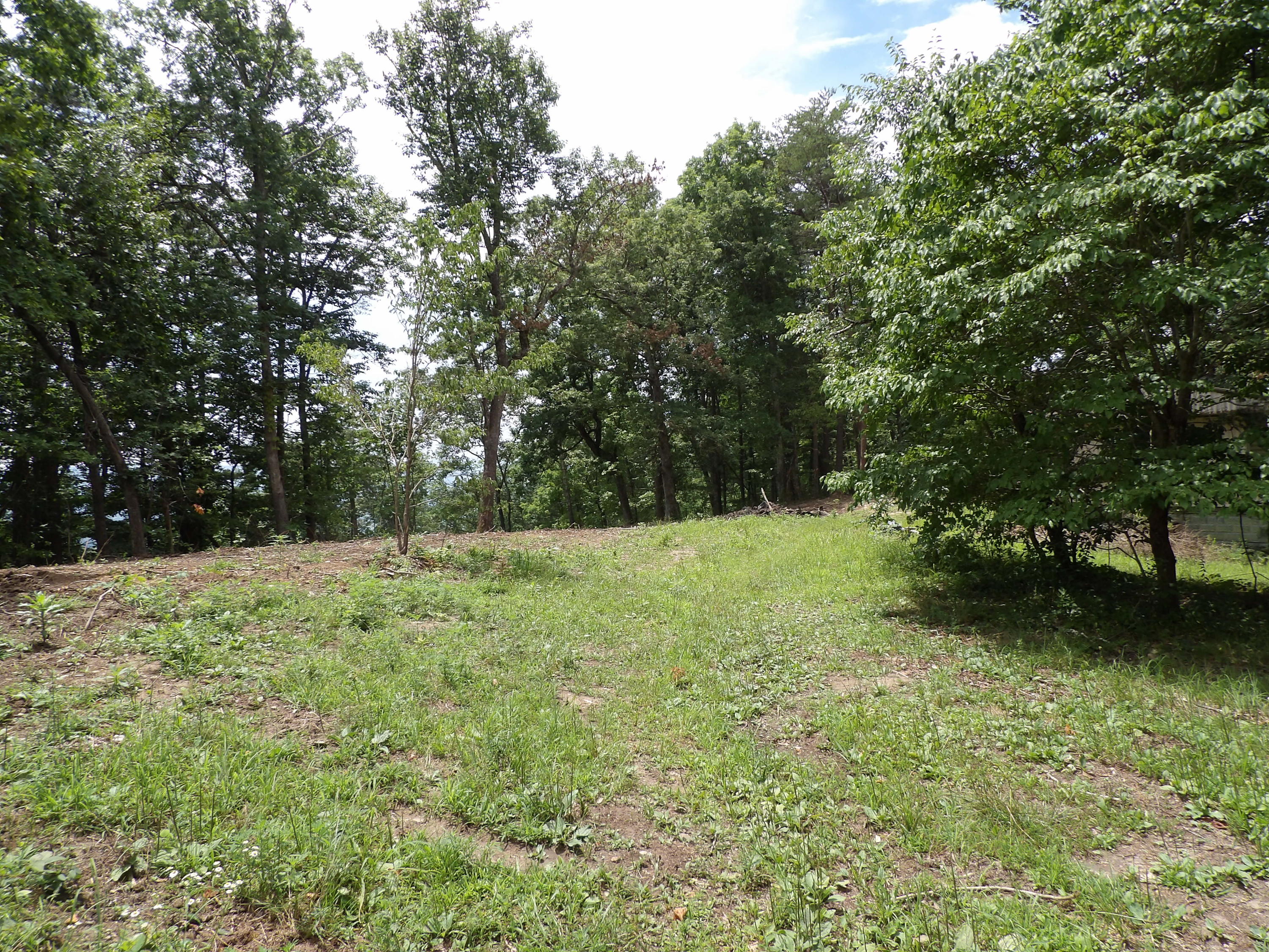 552 Overview Road Crossville, TN 38572 - Photo 8 of 17 100_1223