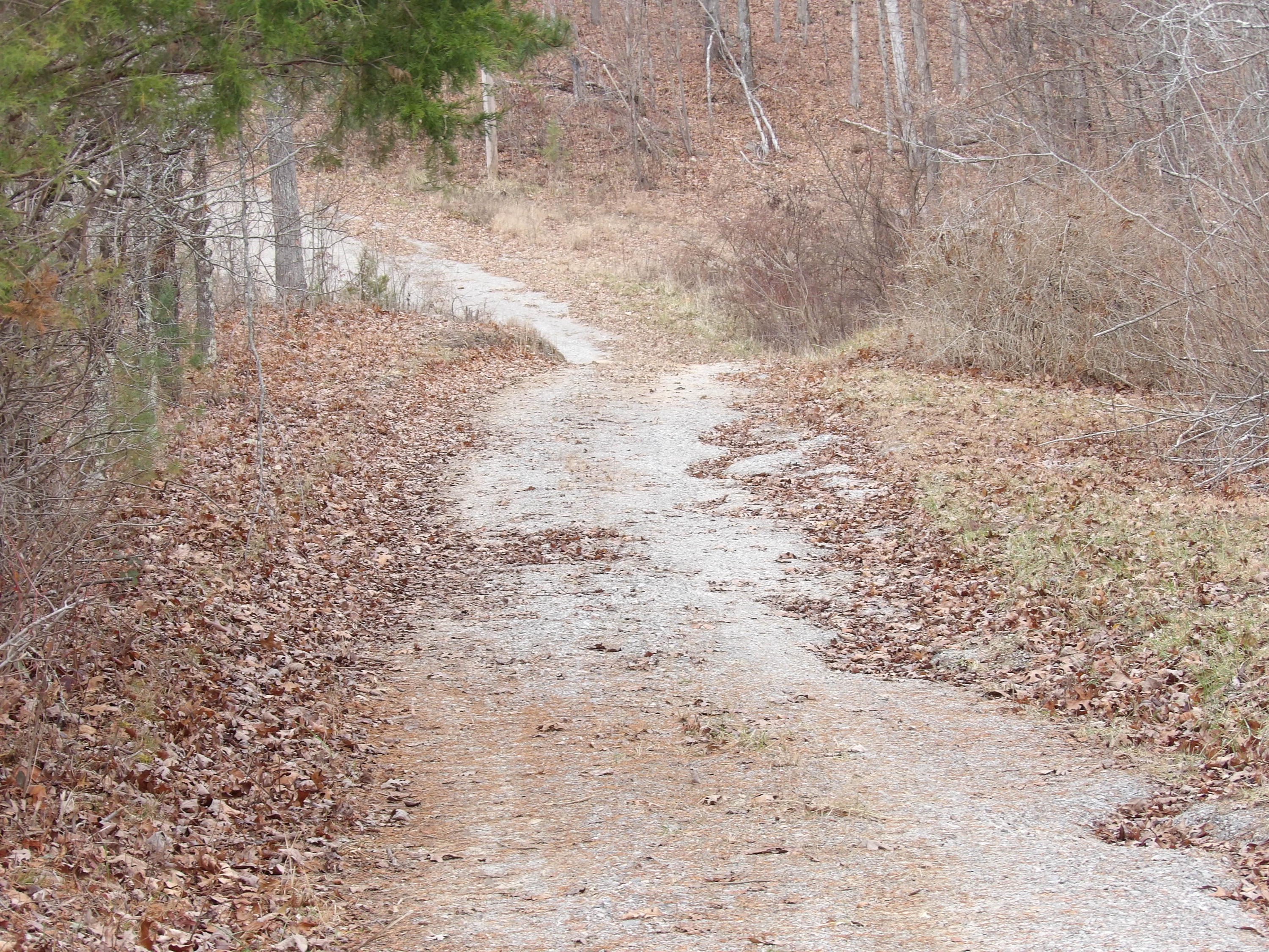 552 Overview Road Crossville, TN 38572 - Photo 10 of 17 100_0383
